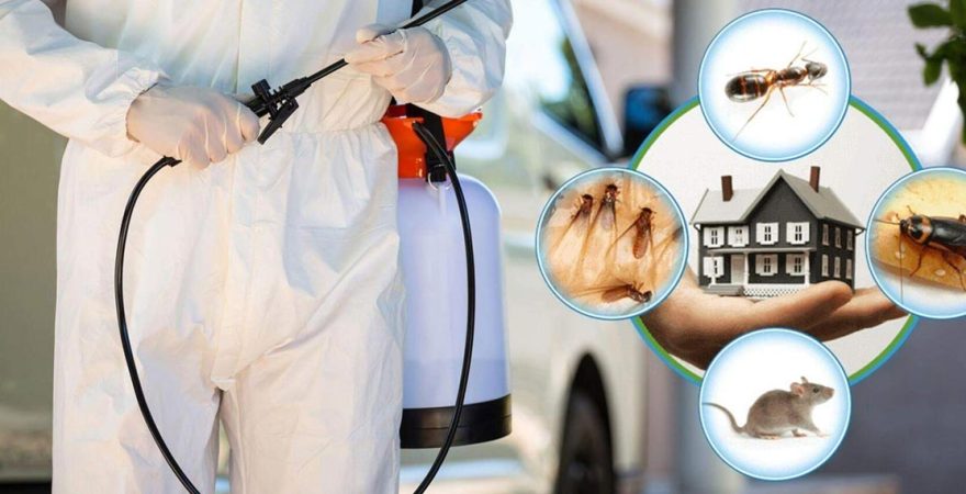 Odunpazarı Böcek İlaçlama