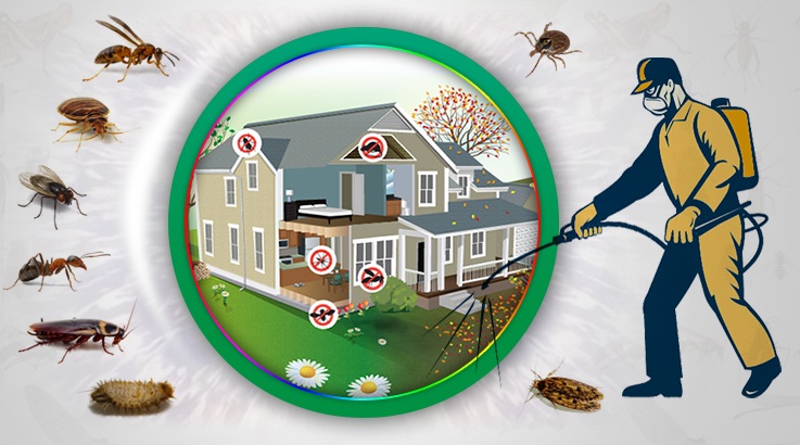 Odunpazarı Böcek İlaçlama