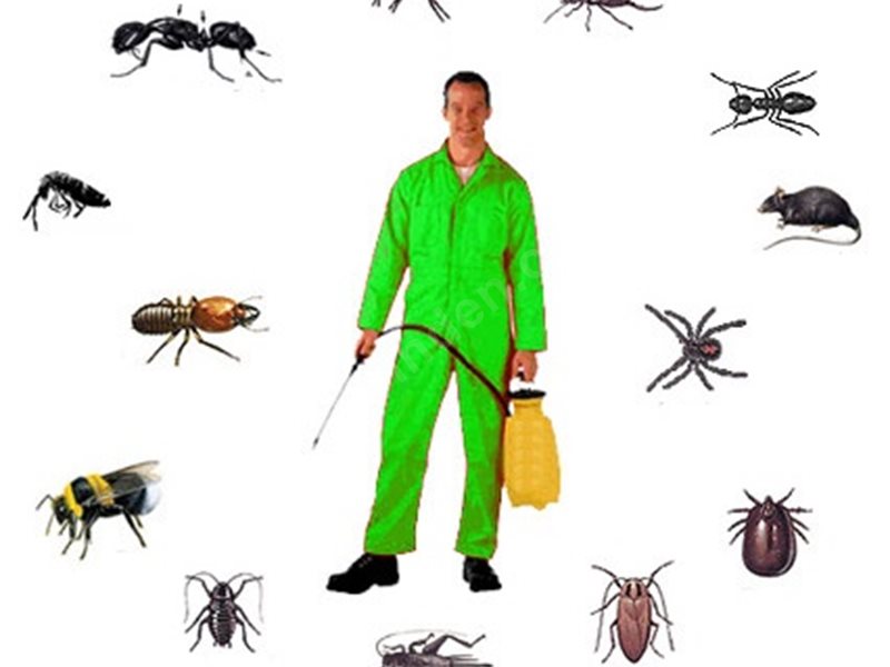 Odunpazarı Böcek İlaçlama